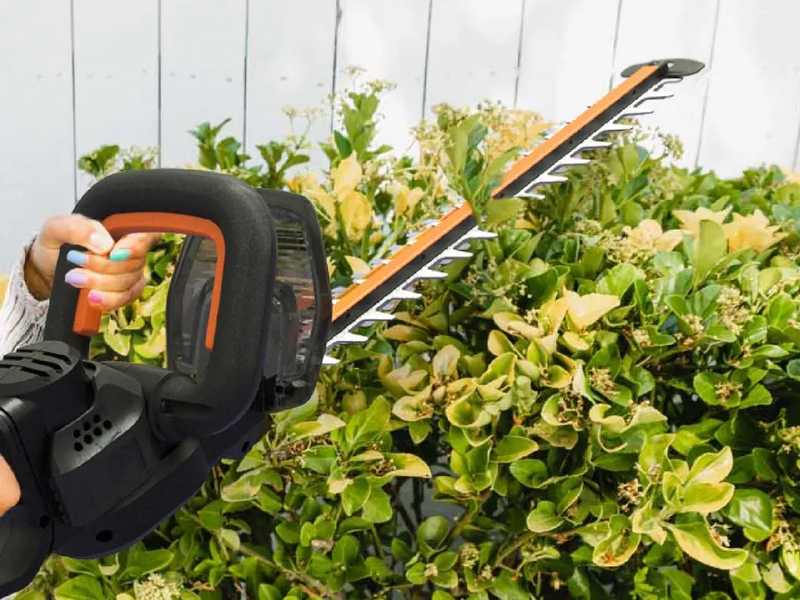 Worx Nitro WG263E.9 Battery hedge trimmer 20V WITHOUT BATTERY AND CHARGER