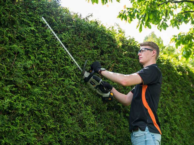 Batavia Battery-powered Hedge Trimmer - 61 cm Steel Blade - 18 V/2Ah Battery