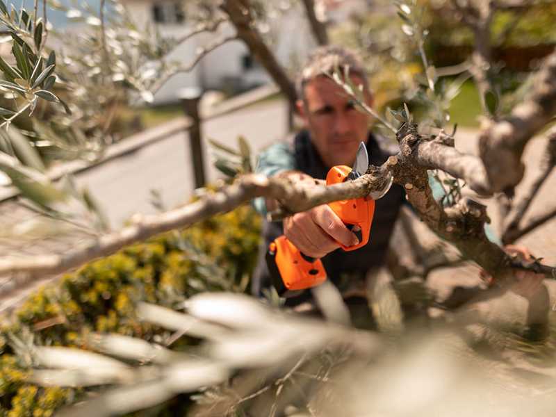 Stocker Magma E-35TP - Battery-powered Pruning Shear - 21.6V 2.6Ah