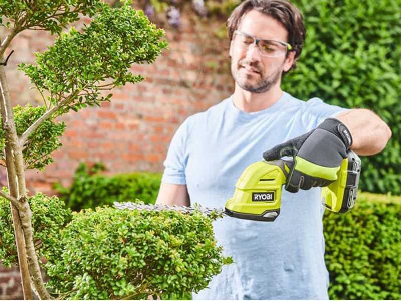 Ryobi RY18GSA 0 Battery powered Grass Shear best deal on AgriEuro