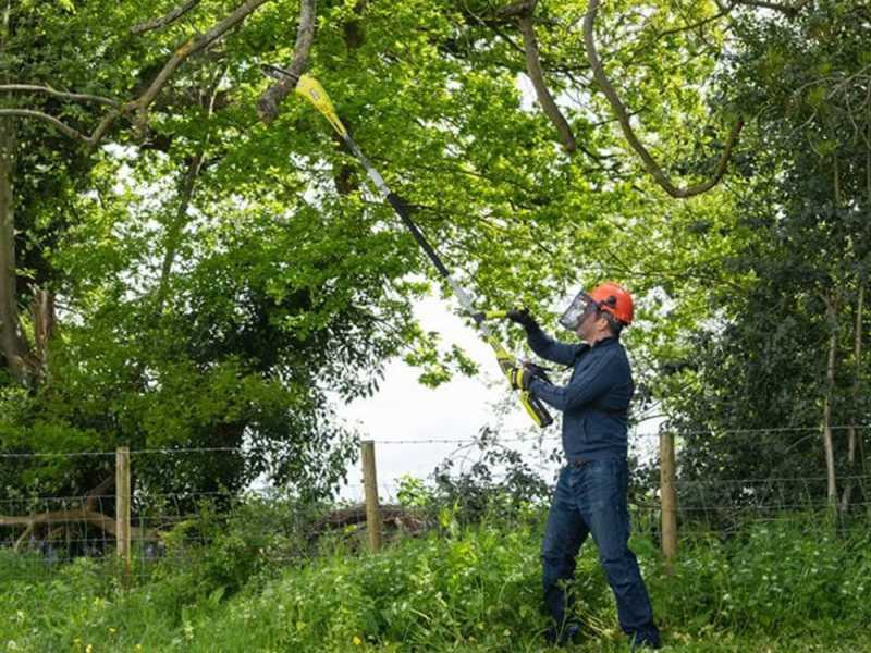 Ryobi RY36PP25A-0 - Battery-powered Pruner on Extension Pole - MAX POWER 36V - 25cm Bar - WITHOUT BATTERY AND BATTERY CHARGER