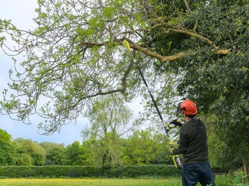 Ryobi RY36PP25A-0 - Battery-powered Pruner on Extension Pole - 25 cm Bar - MAX POWER 36V 2Ah