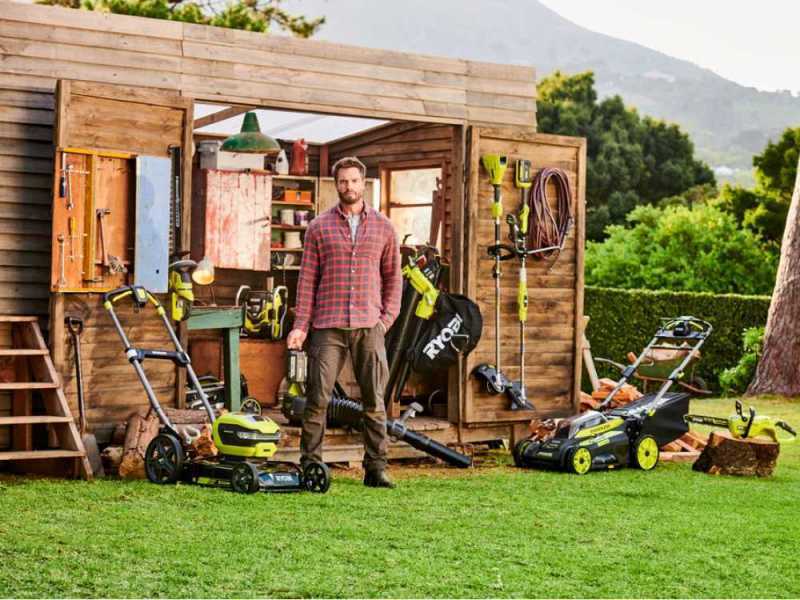 Ryobi RPP182020 - Battery-powered Pruner on Telescopic Pole - 20 cm Bar - 18 V 2 Ah