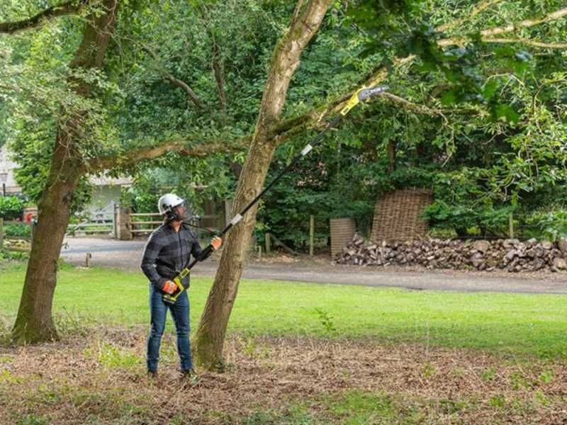 Ryobi battery pruner clearance