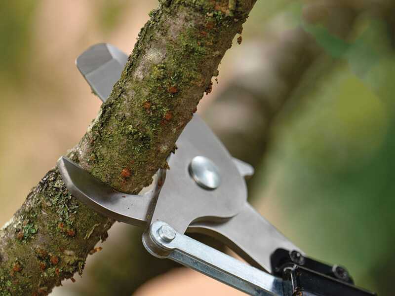 Bosch AdvancedPrune 18V-45 - Electric Pruning Shear on Pole - 18V - 2Ah