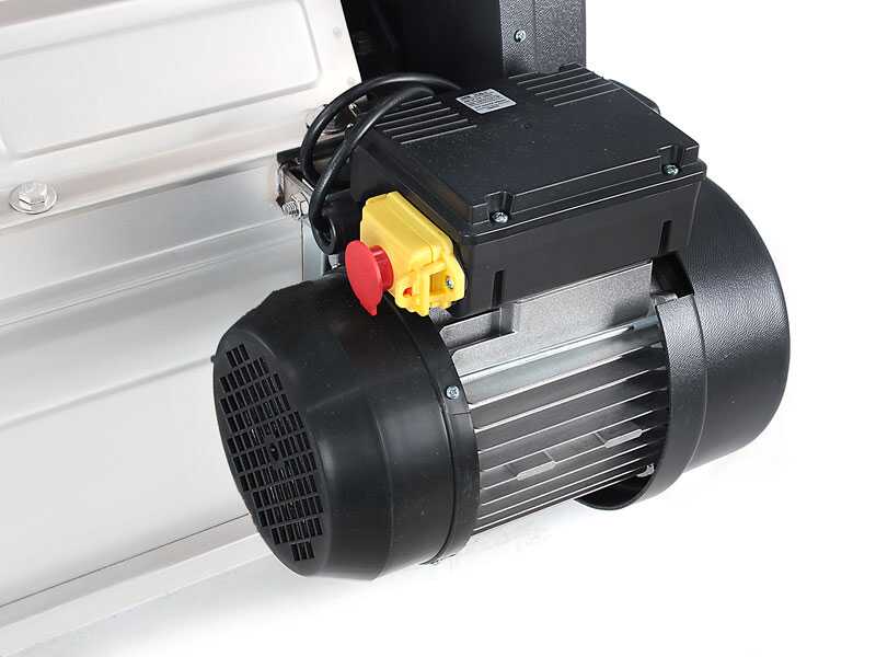 Grifo DMCSI.18 - Electric destemming machine - With protections included