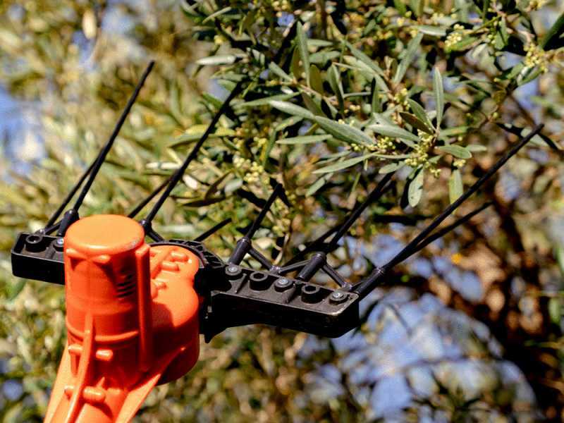 Bahco BCL51 12V - Battery-powered Electric Harvester - Aluminium Pole - 230 cm