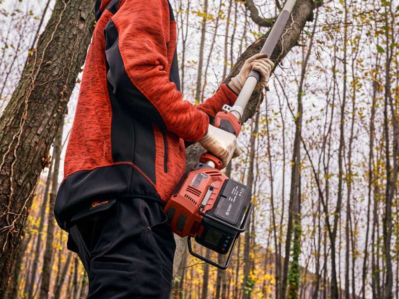 Blue Bird PCS 23-10 - Battery pole-mounted pruner - 50.4V - WITHOUT BATTERIES AND CHARGERS