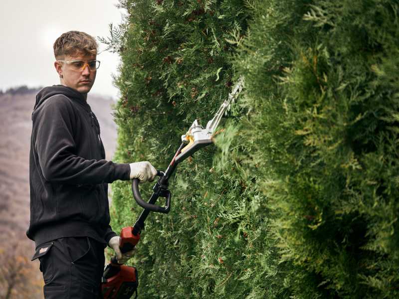 Blue Bird PHT 23-54 - Battery hedge trimmer on extension shaft - WITHOUT BATTERY AND CHARGER