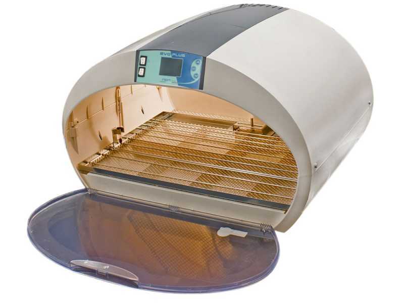 FIEM Cosmo Evo Plus 72 - Automatic egg incubator - 72 eggs