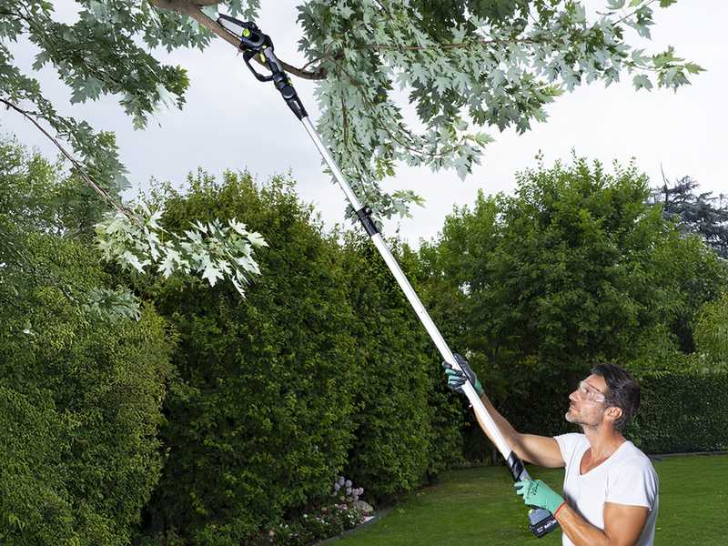 Ribimex PRBAT20/ELAG - Battery-powered Pruner on Telescopic Pole - 20V/4Ah