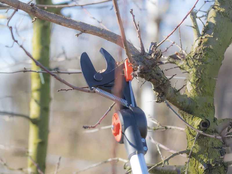 Castellari TUCANO XL - Telescopic pruning pruner - 190-300 cm - &Oslash; 30 mm