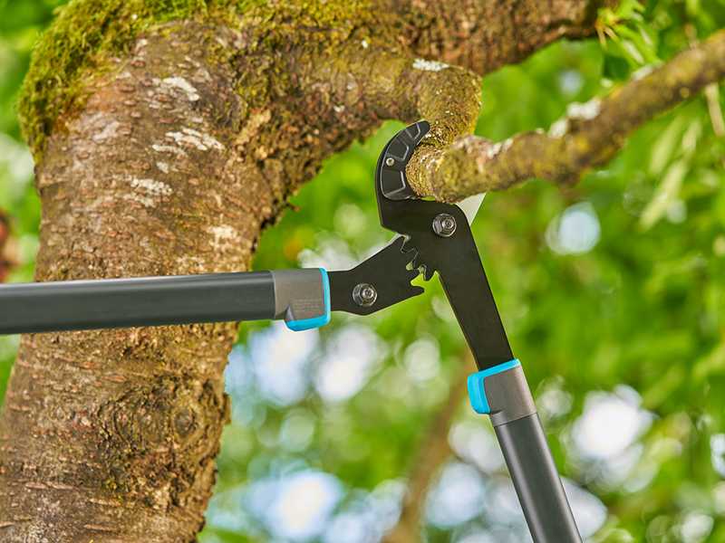 Gardena EnergyCut Pro L - Anvil Lopper - Length 75cm