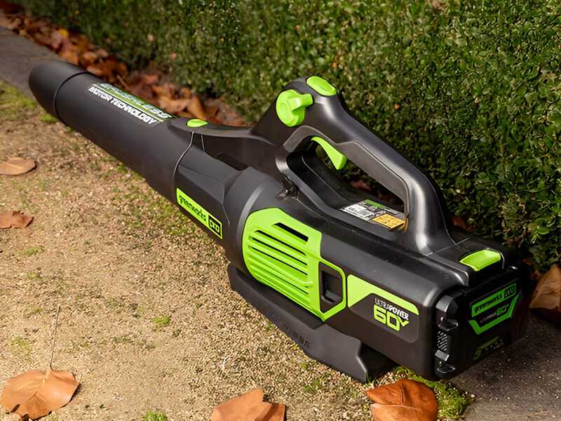 Greenworks GD60ABK4 - Battery-powered axial blower - 60V/4Ah