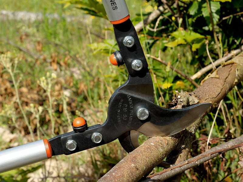 Bahco P19-80-F - Bypass Lopper - Cutting 50 mm - Length 80 cm