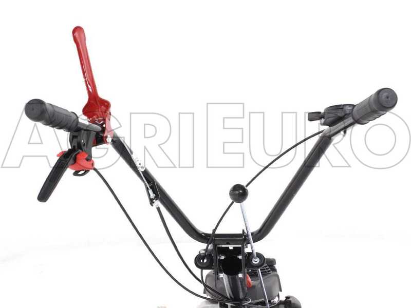 Eurosystems P55 - Petrol Brush Cutter - Falciatutto PRO V2 - HONDA GCVX 170