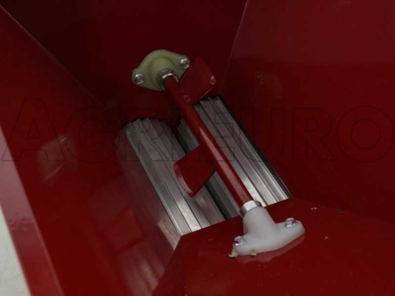 Baesso - Grape Crusher and Destemmer with Supporting Frame and Flywheel