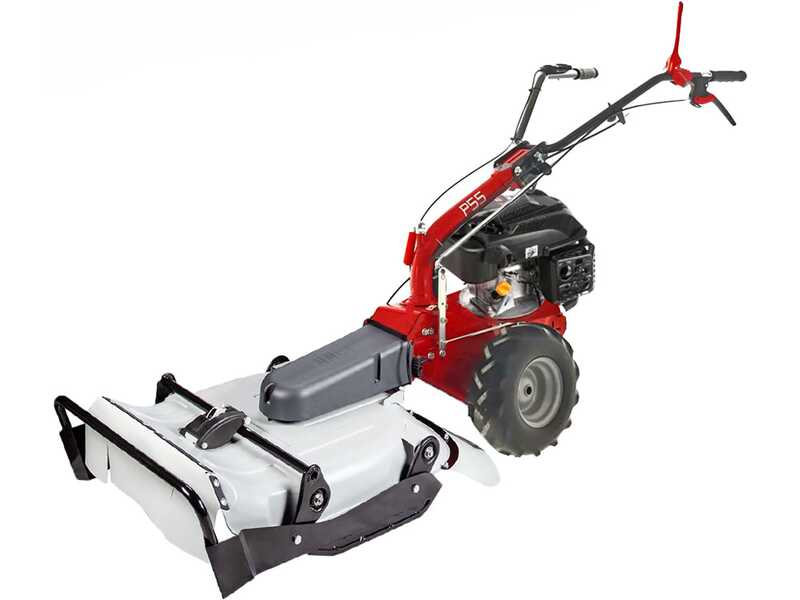 Eurosystems P55 - Petrol Brush Cutter - Falciatutto PRO - Rato RV200