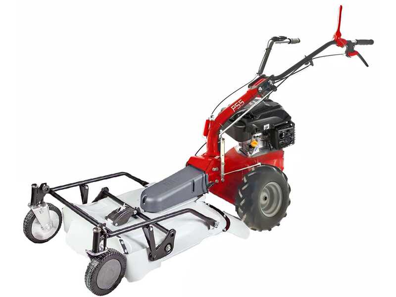 Eurosystems P55 - Petrol Brush Cutter - Falciatutto PRO V2 - Rato RV200