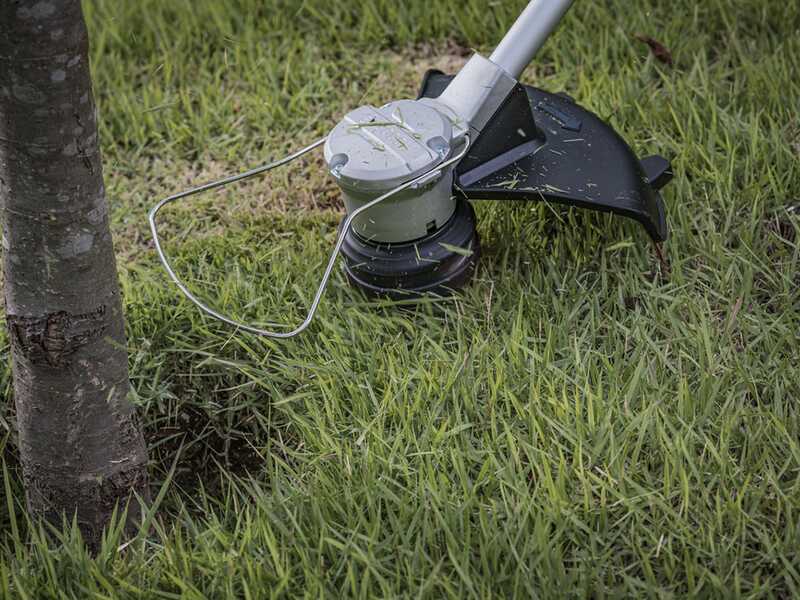 Bosch Professional GRT 18V-33 - Cordless Brush Cutter - WITHOUT BATTERY AND CHARGER