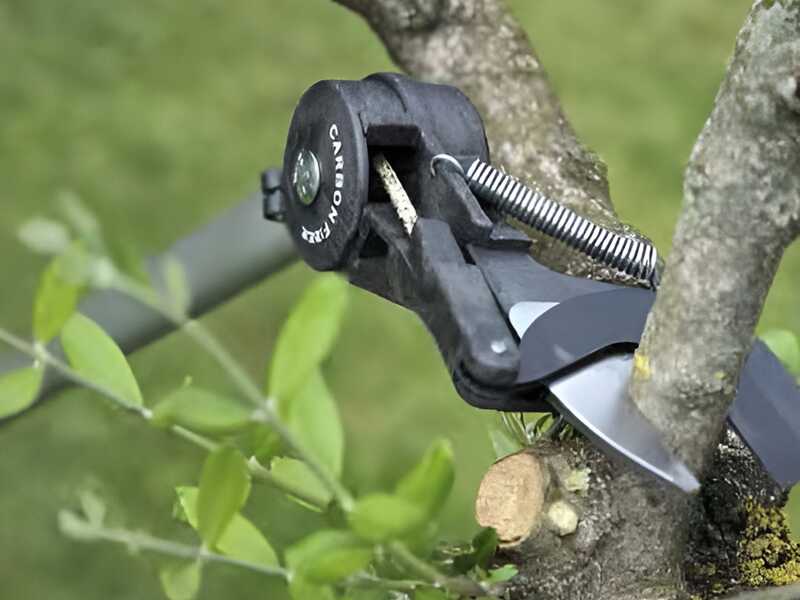 JOLLY ITALIA Elio - Professional Telescopic Pruning Shears - 263cm/400cm - &Oslash;35mm