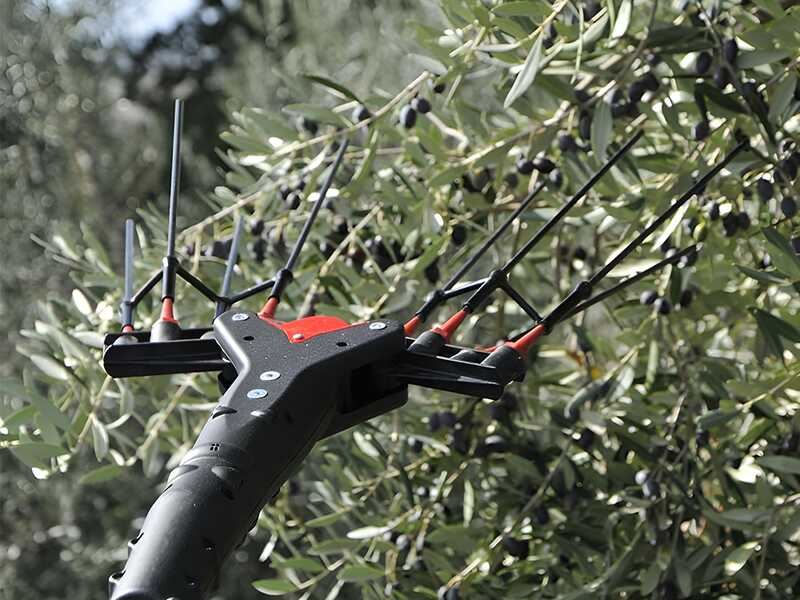 Castellari Vertigo C 18V - Battery-powered electric olive harvester 190-240 cm - WITHOUT BATTERY AND CHARGER
