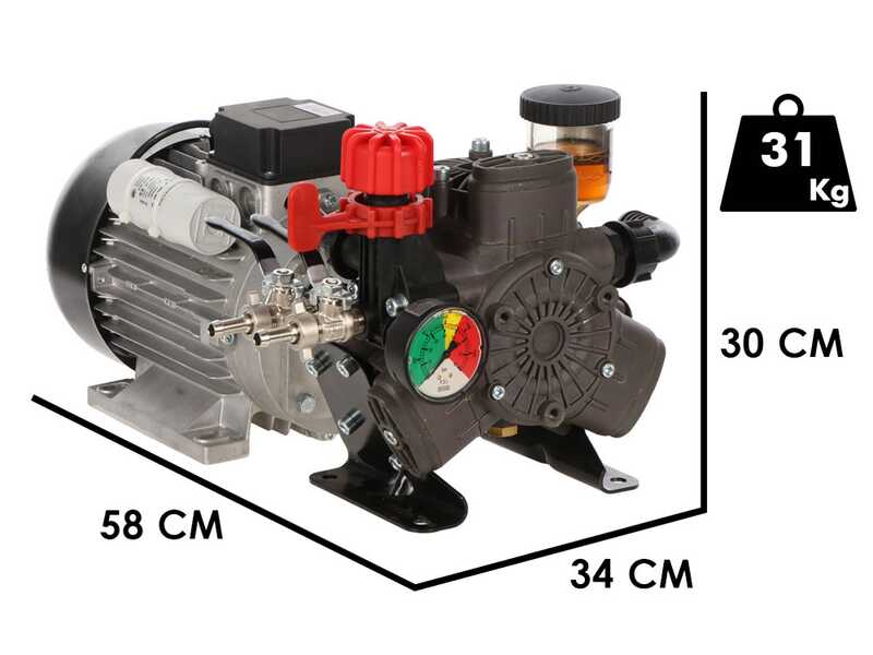 Electric motor pump kit for spraying with trolley - Annovi Reverberi AR 303 EM