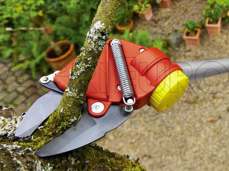 Wolf Garten RR 200 - Professional pruning shear - 200 cm extension pole - &Oslash; 32 mm