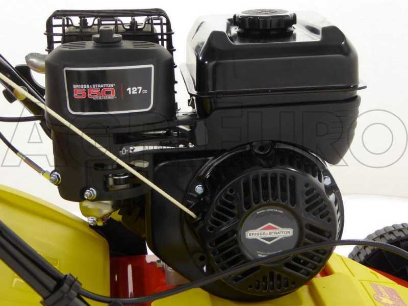 Wolf garten briggs stratton sales