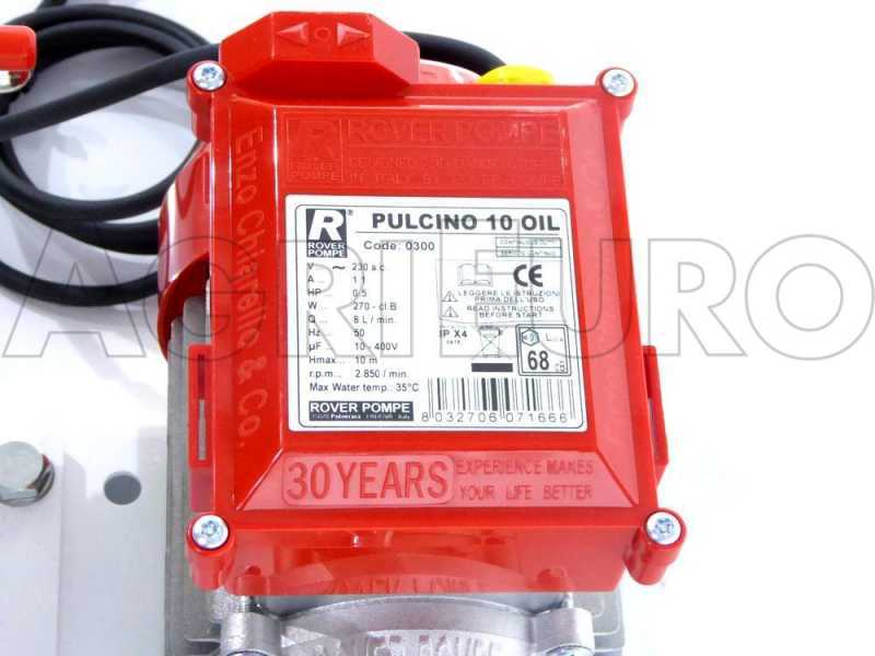 Rover Pulcino 10 - Oil filter with cartridges and plates - Oil pump in Novax