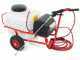 M2015011 Electric Wheeled Sprayer Pump - 12V Battery-powered - 50L 