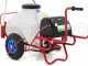 M2017012 Electric Wheeled Sprayer Pump - 12V Battery-powered - 70L PRO