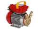 Rover 20 CE - Bronze electric transfer pump - Single-phase - 230V