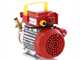 Rover 20 CE - Bronze electric transfer pump - Single-phase - 230V