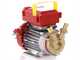 Rover 20 CE - Bronze electric transfer pump - Single-phase - 230V