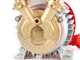 Rover 20 CE - Bronze electric transfer pump - Single-phase - 230V