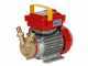 Rover 20 CE - Electric bronze transfer pump