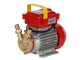 Rover 20 CE - Electric transfer pump in bronze - Single-phase - 230V