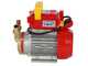 Rover 20 CE - Electric transfer pump in bronze - Single-phase - 230V