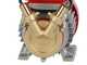 Rover 20 CE - Electric transfer pump in bronze - Single-phase - 230V
