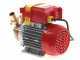 Rover 25 CE - Bronze electric transfer pump