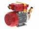 Rover 25 CE - Bronze electric transfer pump