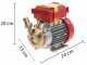 Rover 25 CE - Bronze electric transfer pump