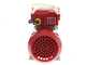 Rover 25 CE - Bronze transfer electric pump - Single-phase - 230V