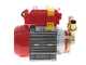 Rover 25 CE - Bronze transfer electric pump - Single-phase - 230V