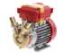 Rover 25 CE - Bronze transfer electric pump - Single-phase - 230V