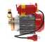 Rover 25 CE - Bronze transfer electric pump - Single-phase - 230V
