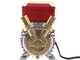 Rover 25 CE - Bronze transfer electric pump - Single-phase - 230V
