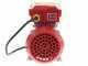 Rover 25 CE Electric Transfer Pump - 0.8 hp Single-phase Motor - Electric Pump
