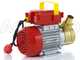 Rover 30 CE - Bronze electric transfer pump - Single-phase - 230V